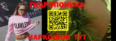 spice Обь