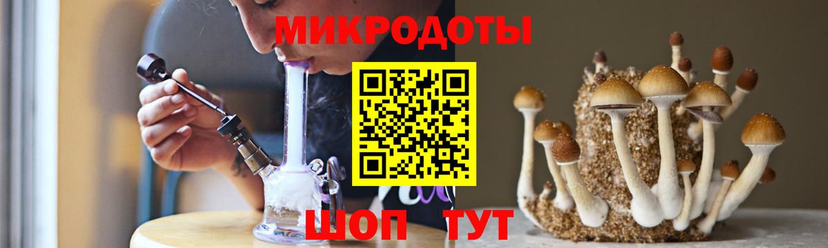 Псилоцибиновые грибы Psilocybe Ивантеевка